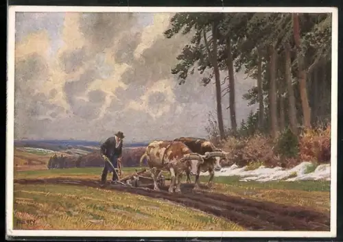 Künstler-AK Paul Hey: Unser täglich Brot, Pflügen, Ochsengespann