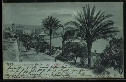 Mondschein-AK San Remo, Corso dell` Imperatrice