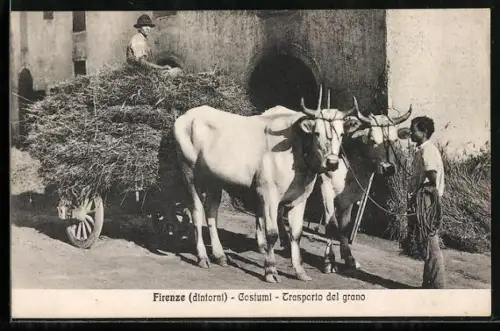 AK Firenze / Florenz, Trasporto del grano, Ochsenkarren