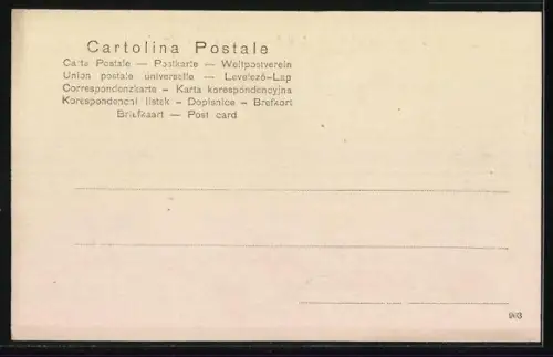 AK Arona /Lago Maggiore, Panorama di Arona dal Castello