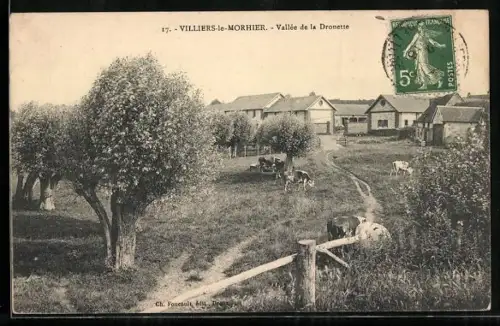AK Villiers-le-Morhier, Vallée de la Drouette, Blick nach dem Ort