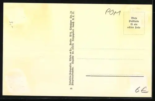 AK Misdroy, Luftbild mit Blick nach dem Meer