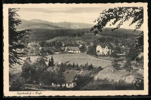 AK Agnetendorf, Gesamtansicht mit Märkische Baude