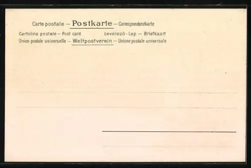 Lithographie Steinbach / Baden-Baden, Erwin-Denkmal, Ortsansicht