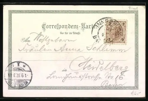 Lithographie Innsbruck, Totalansicht nach Norden, Edelweiss und Enzian