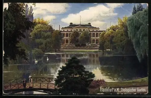 AK Frankfurt, Zoologischer Garten: Teichpartie mit Schwänen