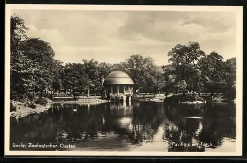 AK Berlin, Zoologischer garten, Pavillon am Teich