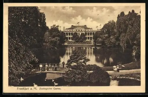 AK Frankfurt a/M, Zoologischer Garten, Partie mit Teich und Verwaltungsbebäude