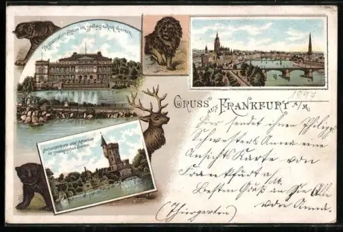 Lithographie Frankfurt, Restaurant im Zoo, Blick zum Ort, Aussichtsturm u. Aquarium im Zoo, Löwe, Hirsch, Bär