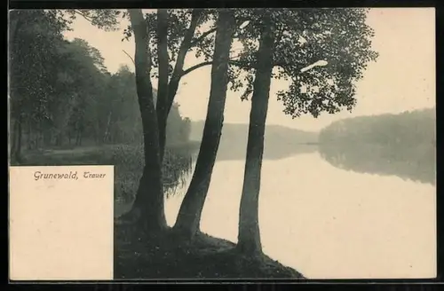 AK Berlin-Grunewald, Partie am Trauer