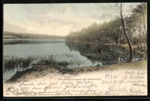 AK Berlin-Grunewald, Schlachtensee, Ufer, Wald