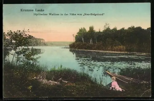 AK Berlin-Zehlendorf, Krumme Lanke, Idyllischer Waldsee, Nähe Neu-Helgoland