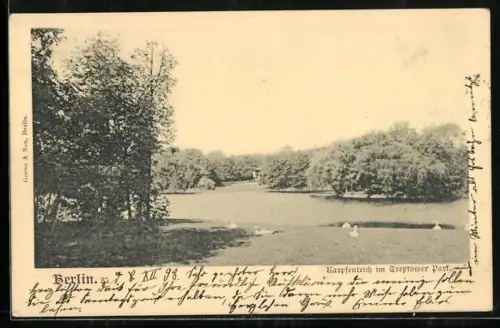 AK Berlin-Treptow, Karpfenteich im Treptower Park
