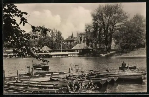 AK Berlin-Weissensee, Weisser See, Ruderboote, Uferansicht