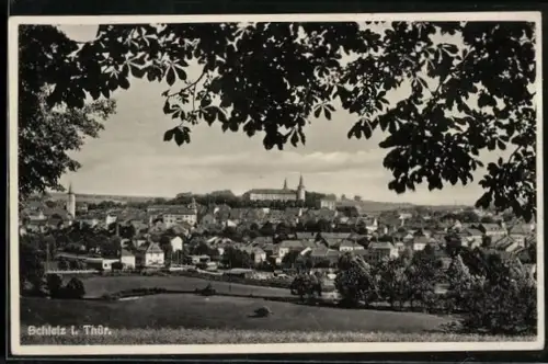 AK Schleiz i. Thür., Stadtansicht mit Schloss und Kirche
