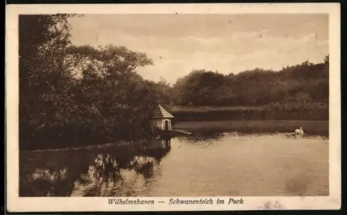 AK Wilhelmshaven, Schwanenteich im Park