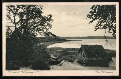 AK Kölpinsee a. U., Kölpinsee, Boot, Fischerhütte