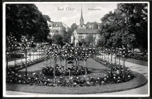 AK Bad Elster, Rosengarten