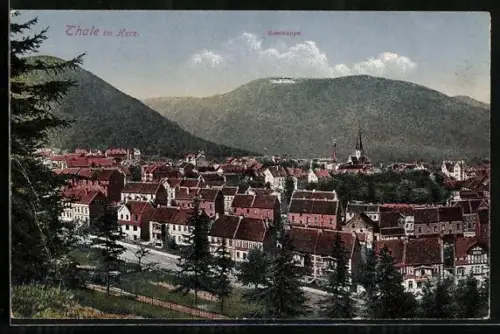 AK Thale im Harz, Gesamtansicht, Hexentanzplatz