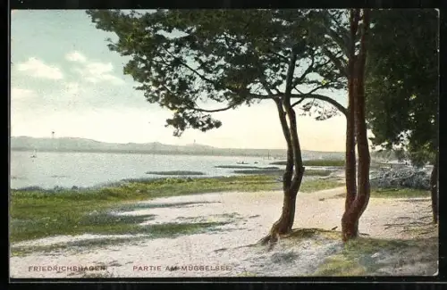 AK Friedrichshagen, Partie am Müggelsee
