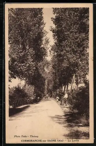 AK Cormoranche-sur-Saone, La Levée