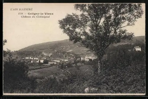AK Coligny-le-Vieux, château du Châtaignat