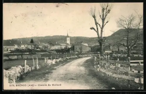 AK Brénod /Ain, Chemin du Mollard