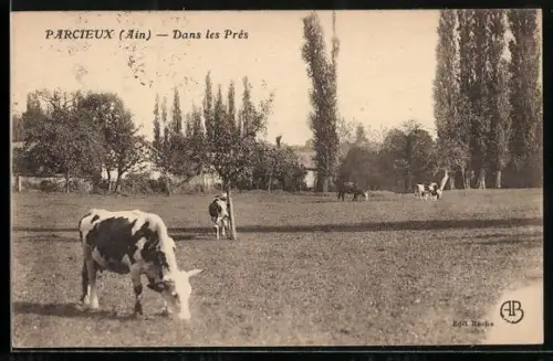 AK Parcieux /Ain, Dans les Prés