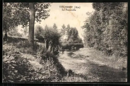 AK Thoissey /Ain, La Passerelle