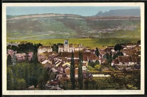 AK Belley, Vue générale