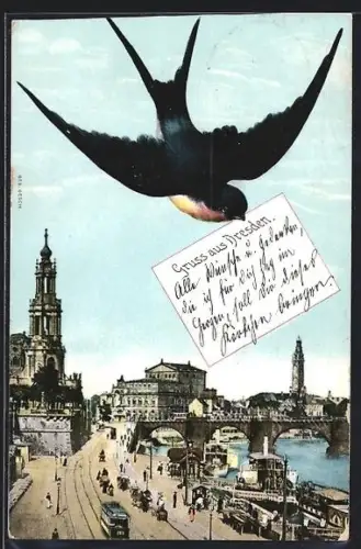 Schwalben-AK Dresden, Elbufer mit Schwalbe