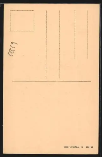 AK Alt-Kiel, Das Professorenhaus, Waisenhofter 1870