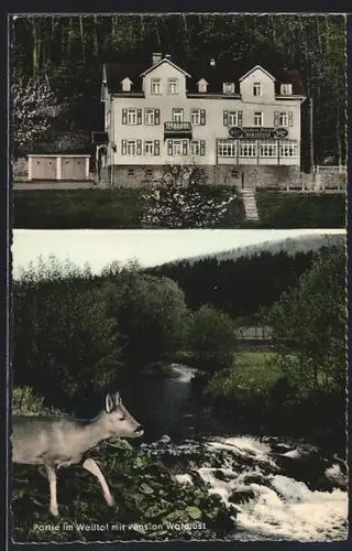 AK Rod / Weil, Hotel-Pension Waldlust, Flusslandschaft