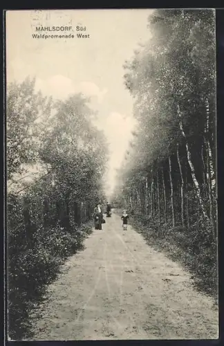 AK Berlin-Mahlsdorf Süd, Waldpromenade West