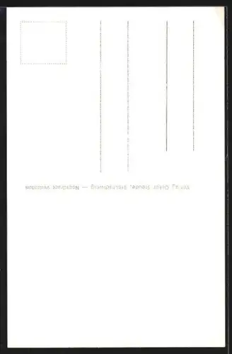 AK Braunschweig, Campestrasse, Kapellenstrasse