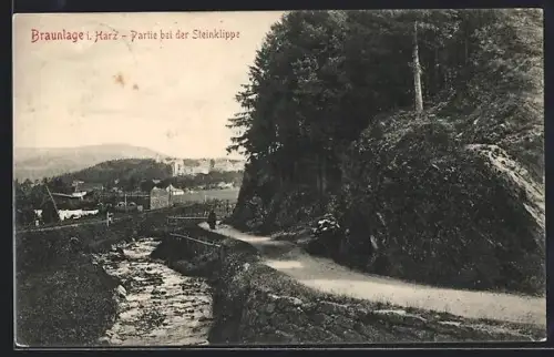 AK Braunlage i. Harz, Partie bei der Steinklipppe