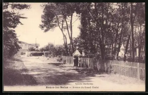 AK Ronce-les-Bains, Avenue du Grand Chalet