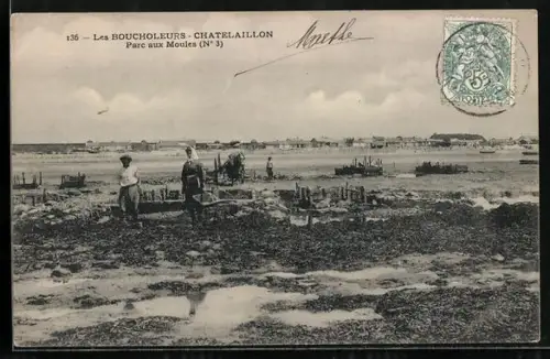 AK Les Boucholeurs-Châtelaillon, Parc aux Moules, N° 3