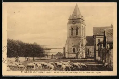 AK Saint-Pierre-D`Autils /Eure, Moutons au páturage sur la Place de l`Eglise