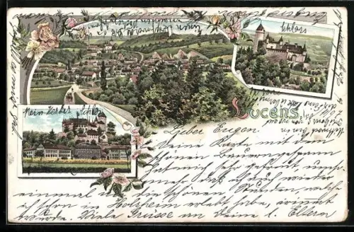 Lithographie Lucens, La Ville, Le Chateau, Le Chateau et les fabriques