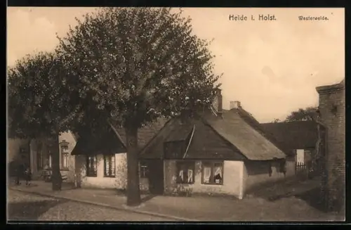 AK Heide i. Holst., Bäume an der Strasse Westerweide