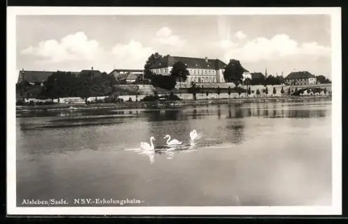 AK Alsleben /Saale, Blick auf das NSV-Erholungsheim