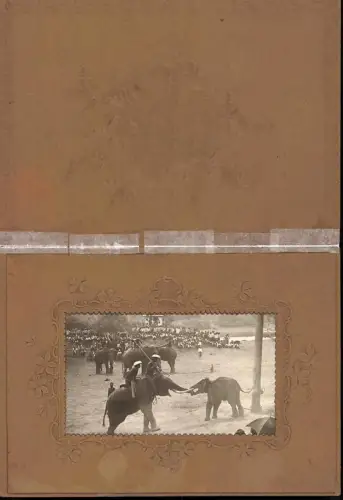 Fotografie Ansicht Bangkok, Thailändische Elefantentrainer bei einer Vorführung, 1903