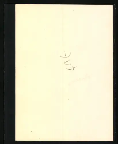 Fotografie Botanik, Hyazinthe