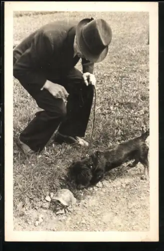 Fotografie Osw. Müller, Deutschbrod, Mann mit seinem Hund welcher eine Schildkröte erschnuppert, 1944