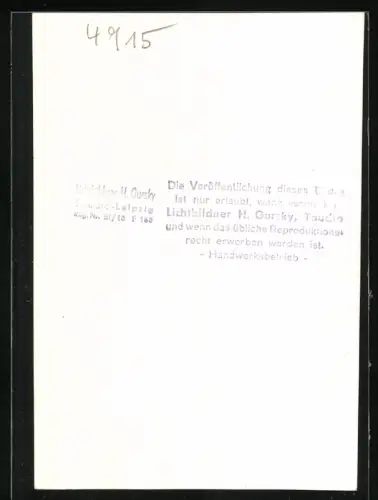 Fotografie Rassetaube Hessischer Kröpfer