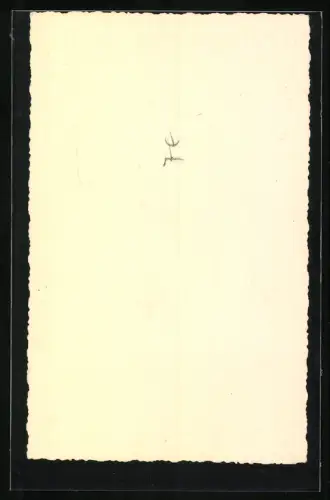 Fotografie Spitz Hund