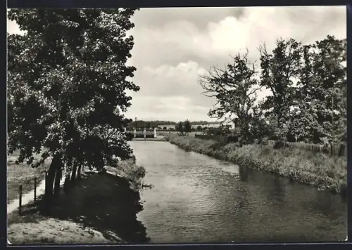 AK Haldensleben, Birkenweg an der Ohre