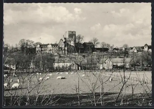 AK Adelebsen /Soll., Ortsansicht mit Schloss Adelebsen, Weide mit Schafen