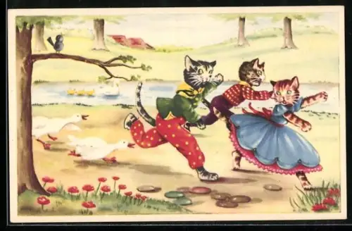 AK Katze und zwei Kater laufen vor Gänsen weg